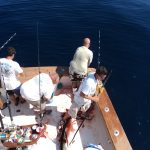 Tuna Charter Hooked Up II