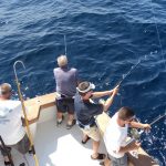 tuna charter hooked up ii